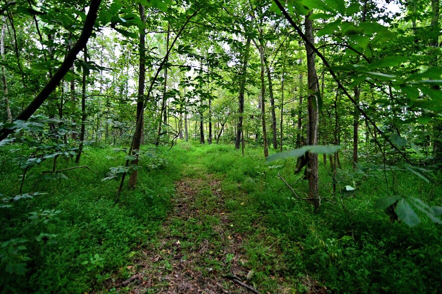 More Photos Of Cues Favorite @ La Plata Rd Route 488, Waldorf Land For Sale