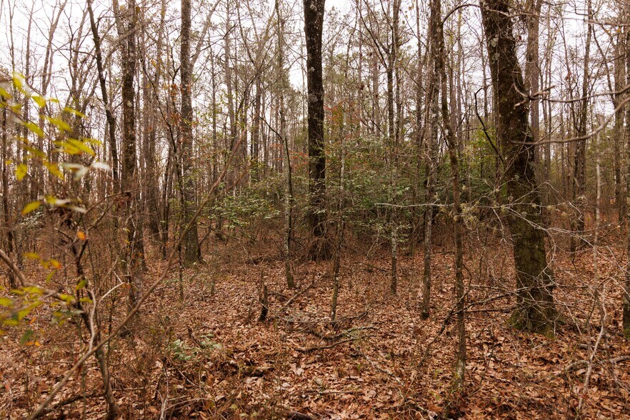 More Photos Of Jug Factory Road, Wetumpka Land For Sale