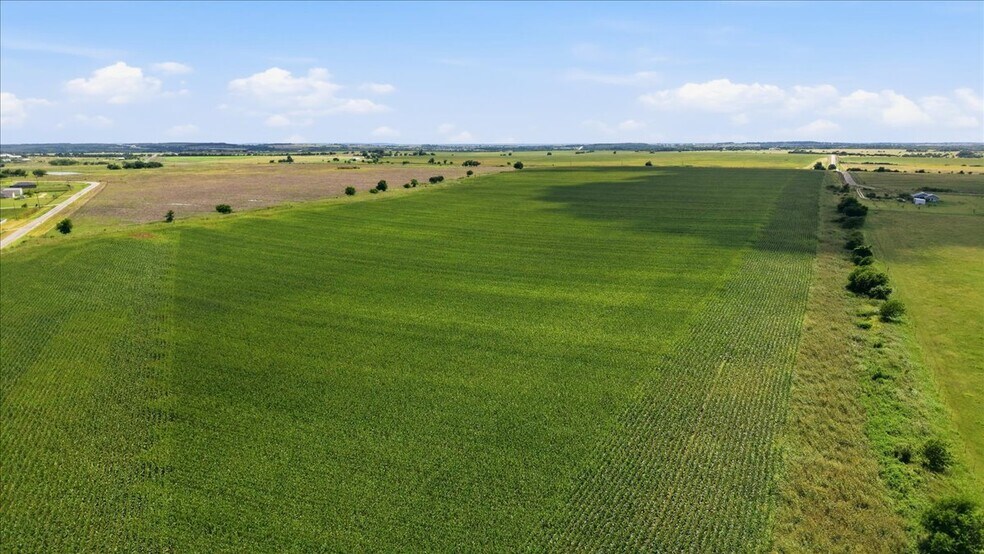 More Photos Of County Road 319, Granger Land For Sale
