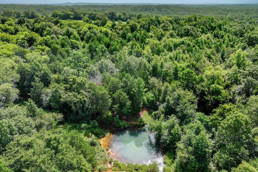 More Photos Of 00 County Road 4501, Jacksonville Land For Sale