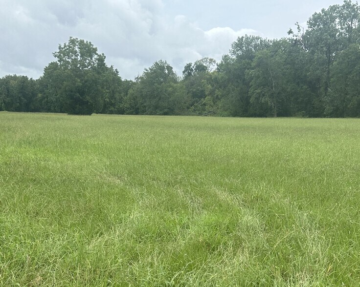 More Photos Of 3935 Spring Branch Road, Montgomery Land For Sale
