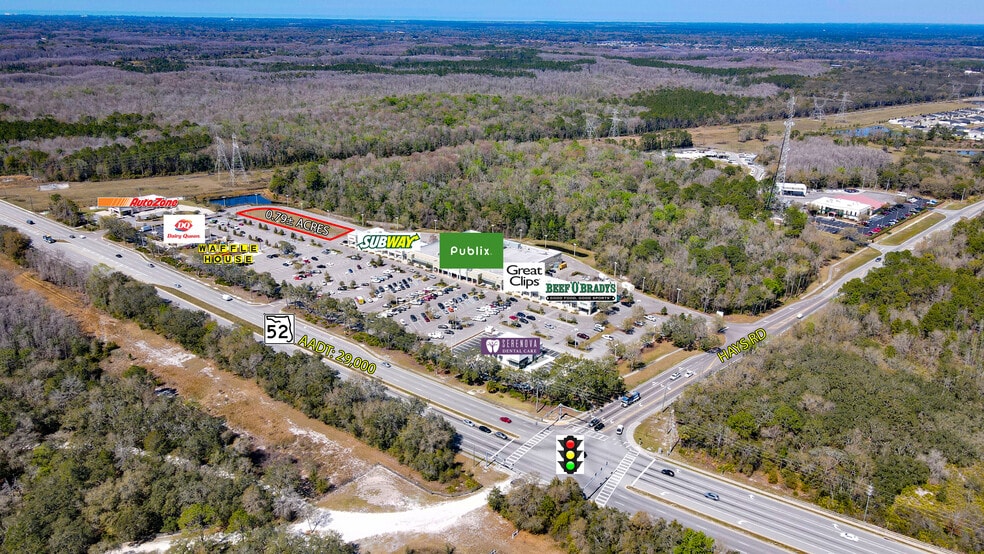 Primary Photo Of SR 52 & Hays Rd, Hudson Land For Sale