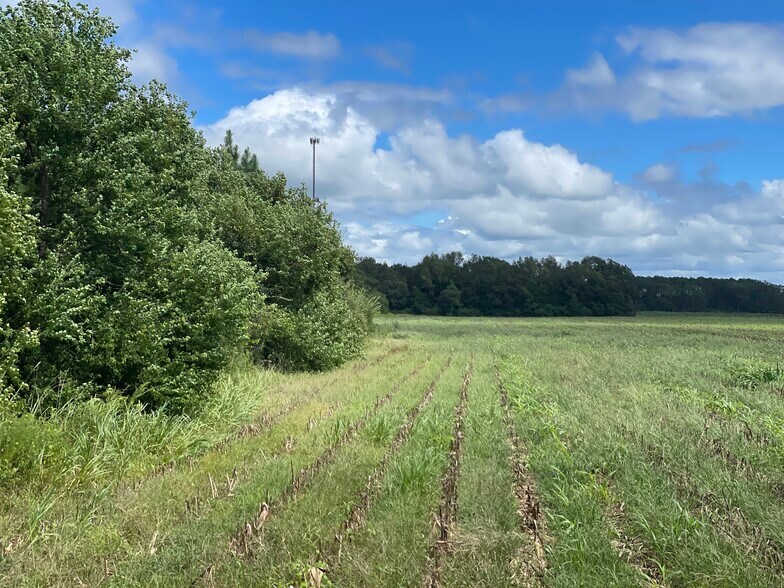 More Photos Of 5700 Pine Forest Rd, Walnut Hill Land For Sale