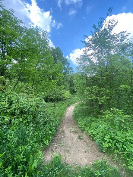 More Photos Of Woodville Rd Lot 14954, Mansfield Land For Sale