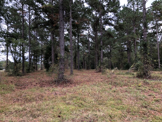 Primary Photo Of Wood Oak Cir, Cochran Land For Sale