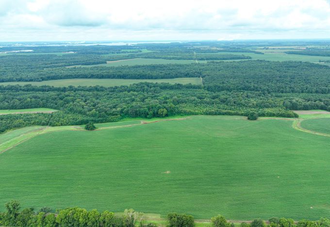 More Photos Of Fennell Ln, Tanner Land For Sale