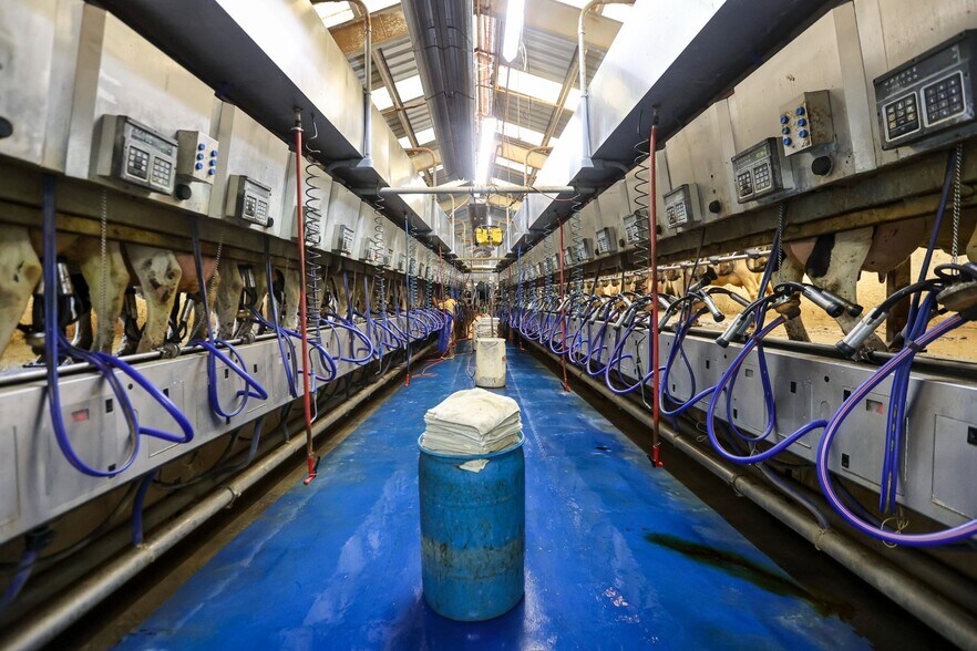 More Photos Of 8845 Rickreall Rd, Rickreall Land For Sale