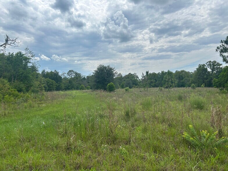 More Photos Of 5078 Discovery Dr, Middleburg Land For Sale