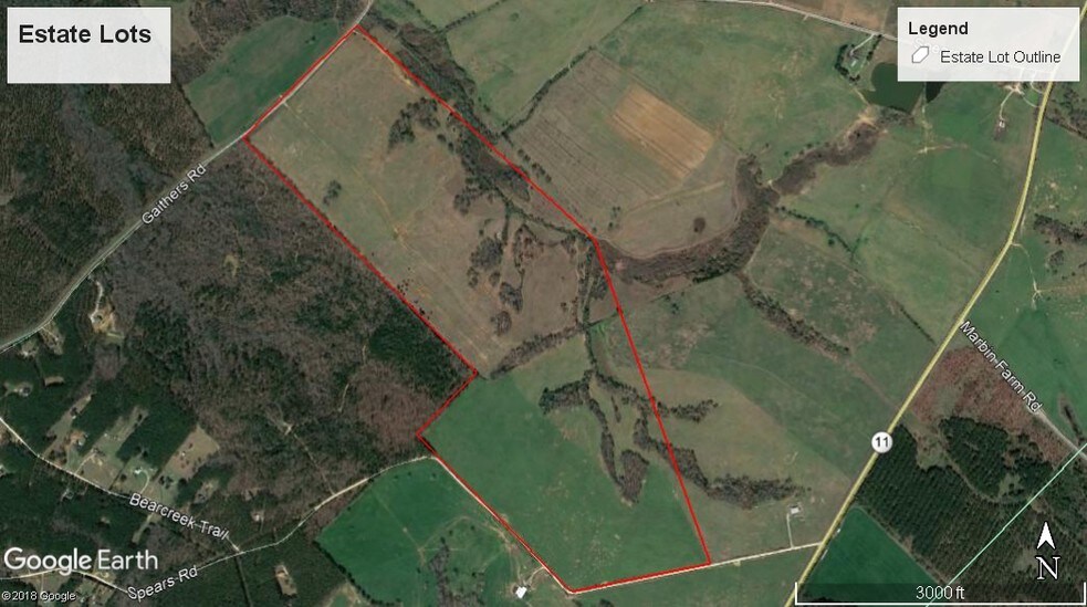 More Photos Of Spears Rd @ GA Hwy 11, Mansfield Land For Sale