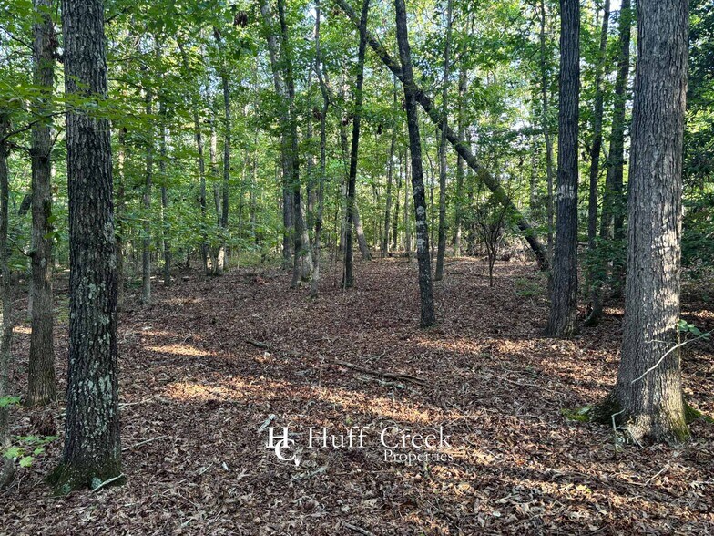 More Photos Of 14 Aeronca Rd, Belton Land For Sale