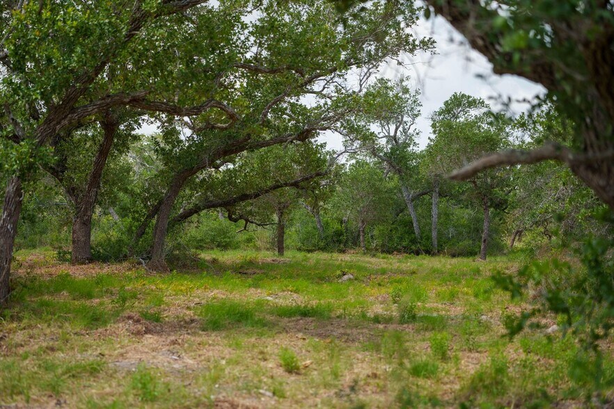 More Photos Of 704 South Highway 35 Byp, Rockport Land For Sale