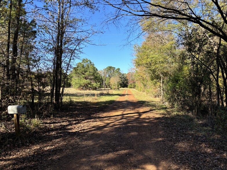 Primary Photo Of 133 Scroggins Ln, Marietta Land For Sale