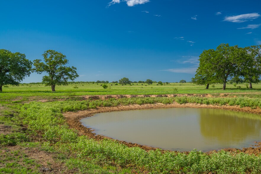 More Photos Of 5279 FM 1117, Nixon Land For Sale