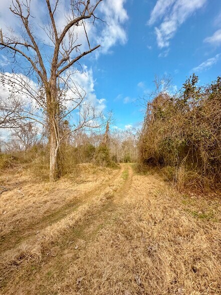 More Photos Of County 39 rd, Rosharon Land For Sale