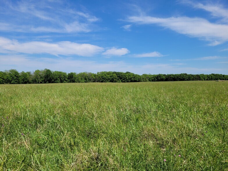 More Photos Of 110 Private Road 7316, Clarksville Land For Sale