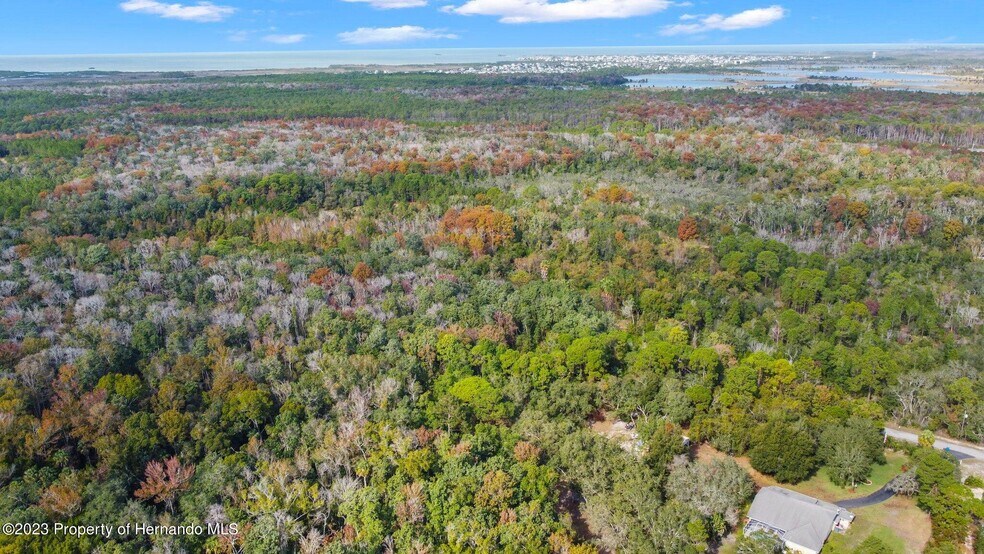 More Photos Of 0 Algood Rd, Spring Hill Land For Sale