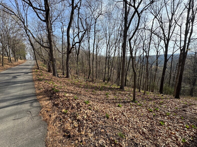 More Photos Of 190 Edgewater Dr, Eureka Springs Land For Sale