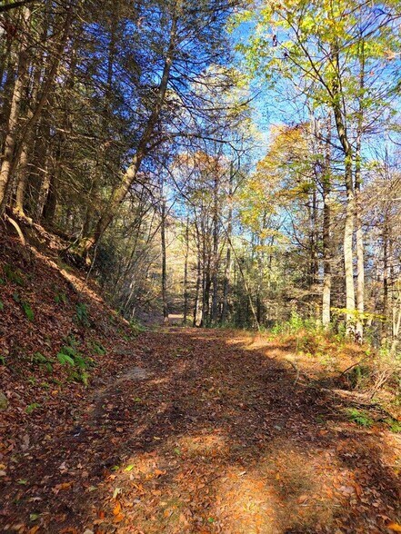 More Photos Of 0 Old Pluto Rd, Shady Spring Land For Sale