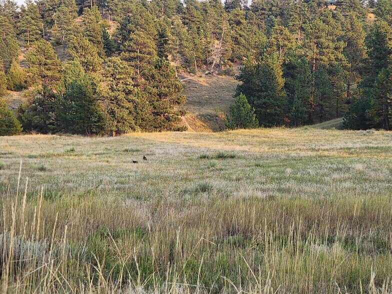 More Photos Of 00 Skyway Dr, Billings Land For Sale