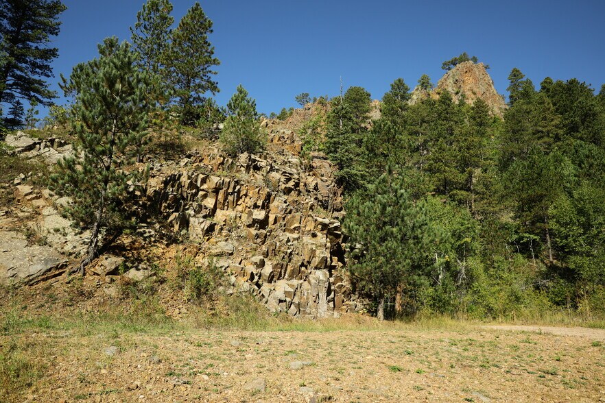 More Photos Of TBD Cutting Mine Road, Lead Land For Sale