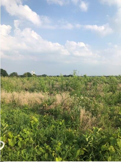 More Photos Of 370 S. Brier Hill Rd, Hampshire Land For Sale