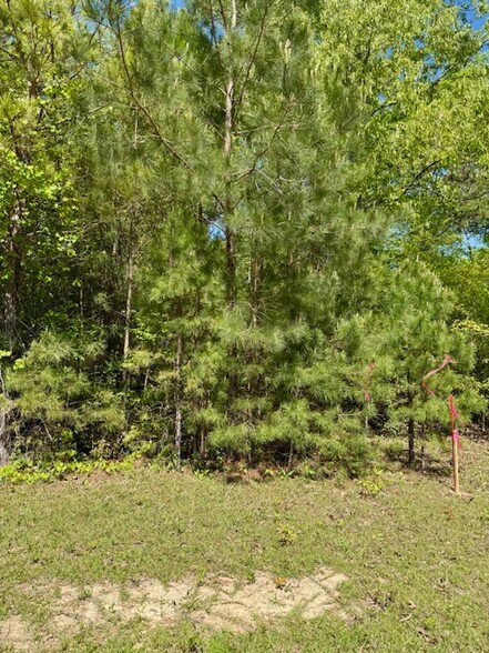 More Photos Of 000 Tanglewood Trail, Georgetown Land For Sale