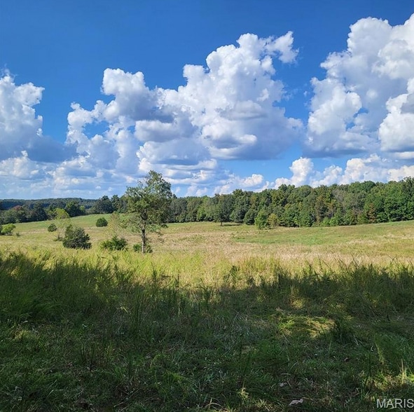 More Photos Of 1710 Ripley 142w-7, Gatewood Land For Sale