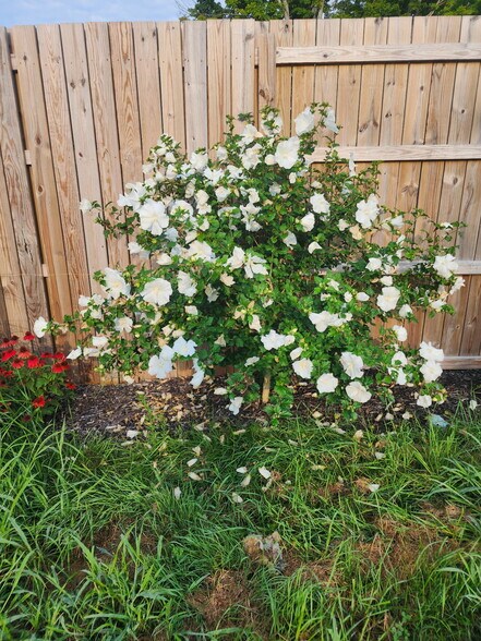 More Photos Of 2800 NY-49, West Monroe Auto Repair For Sale