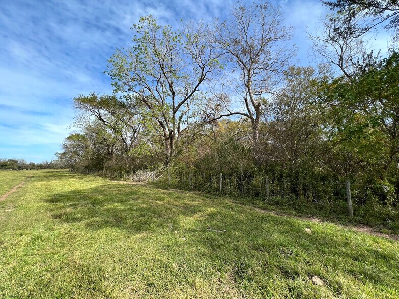 More Photos Of 0 Hwy 35, Van Vleck Land For Sale