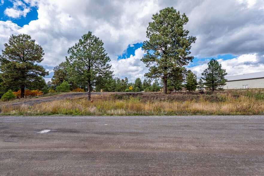More Photos Of 555 Bastille Drive, Pagosa Springs Land For Sale