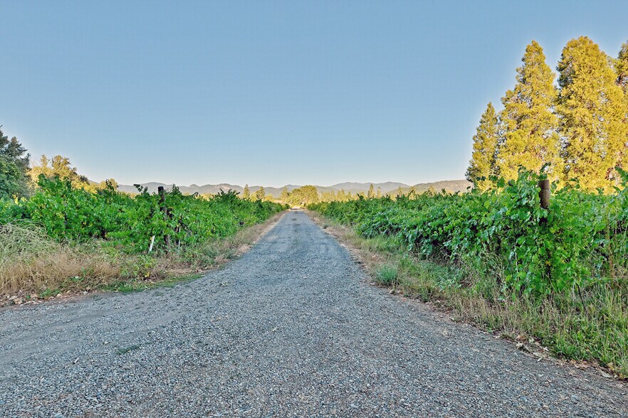 More Photos Of 3900 Holland Rd loop, Cave Junction Winery Vineyard For Sale