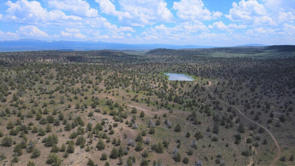 More Photos Of 3234 County Road 75, Alturas Land For Sale