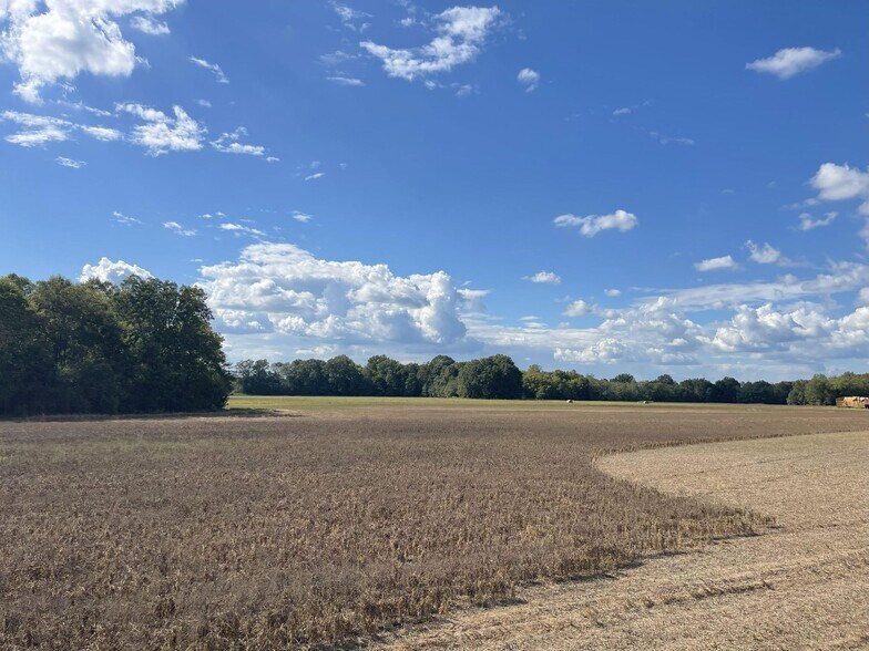 More Photos Of County 21 & Bell Grayson Road hwy, Demopolis Land For Sale