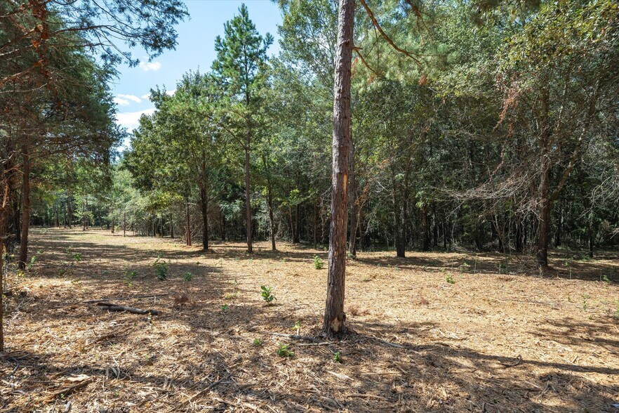 More Photos Of Tract 1 County Road 484, Mineola Land For Sale