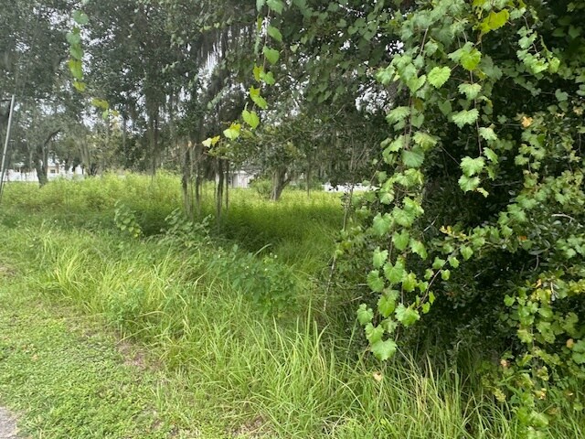 More Photos Of 0 Bloomingdale Ave & Hurley Rd, Valrico Land For Sale