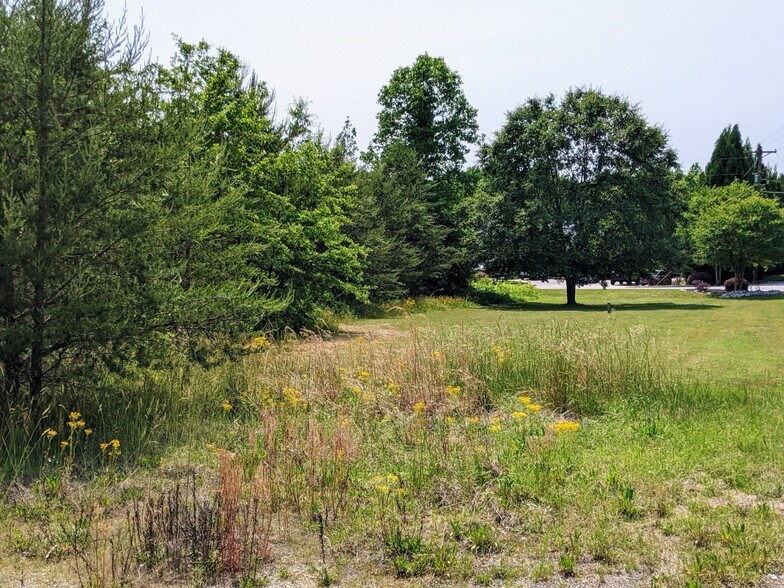 450 Stamey Valley Rd, Travelers Rest, SC 29690 Land For Sale