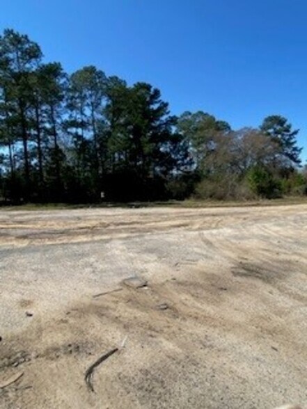 Primary Photo Of 0 US HWY 19 N, Meigs Land For Lease