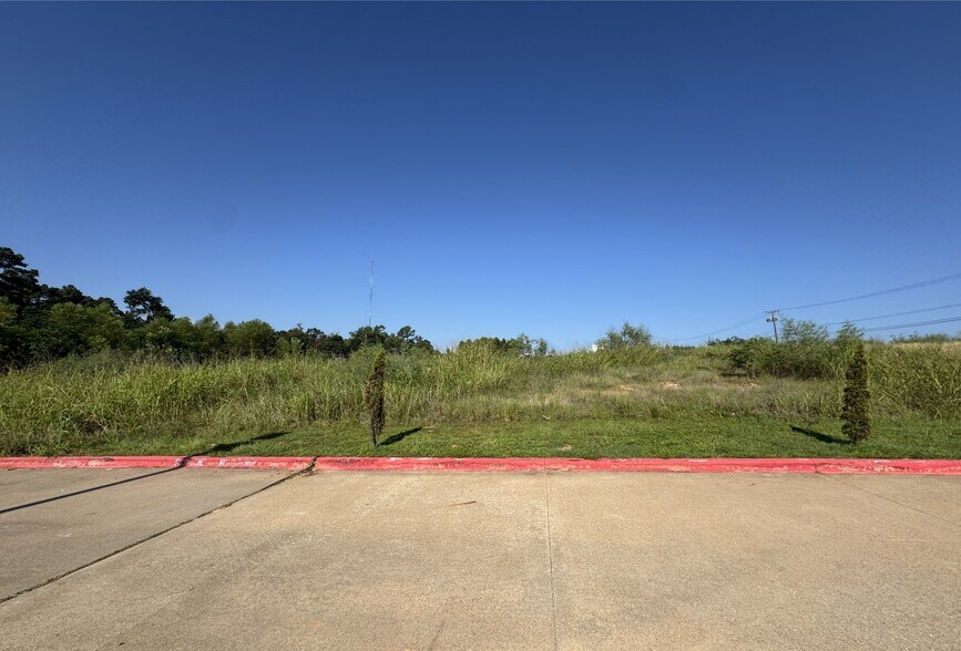More Photos Of 2800 S Loop 256, Palestine Land For Sale