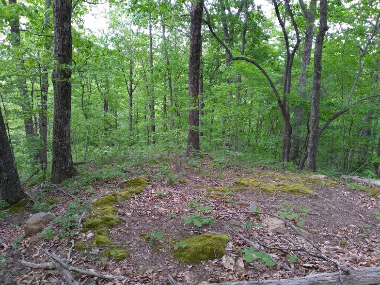 More Photos Of 1737A High Rock Rd, Stanton Land For Sale