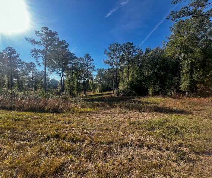 More Photos Of 0 Highway 198, Lucedale Land For Sale