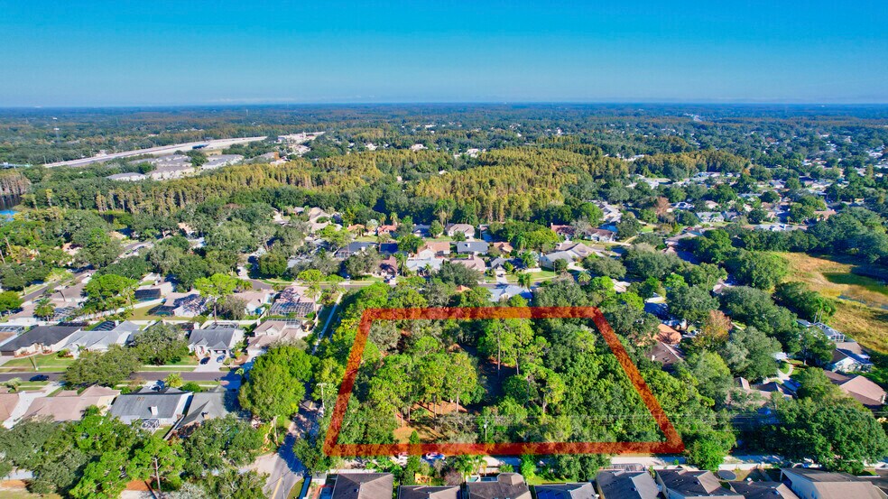 More Photos Of 6501 Gant Rd, Tampa Land For Sale