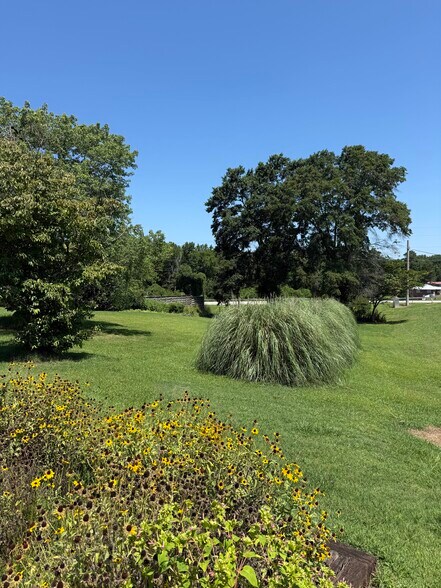 More Photos Of 5246 HWY 441, Nicholson Land For Sale