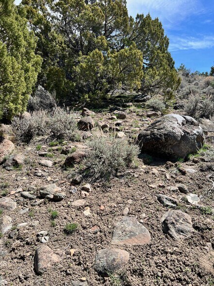 More Photos Of 4387 Sharps Rd, Reno Land For Sale