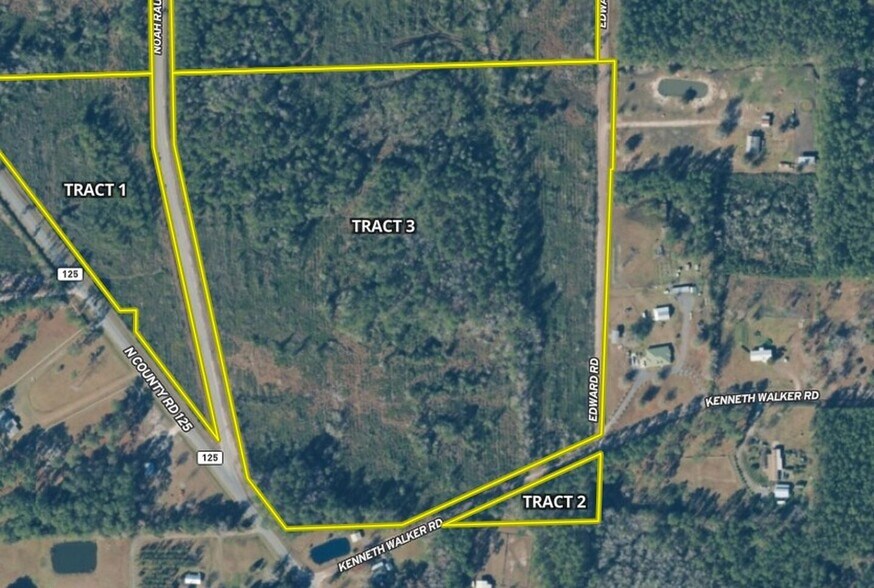 More Photos Of Noah Raulerson Road, Sanderson Land For Sale