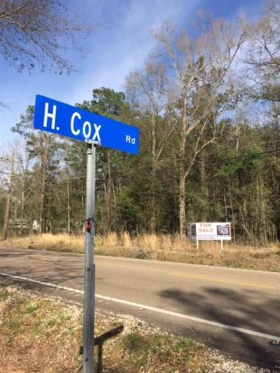 More Photos Of Lee Rd- Hwy 437, Covington Land For Sale