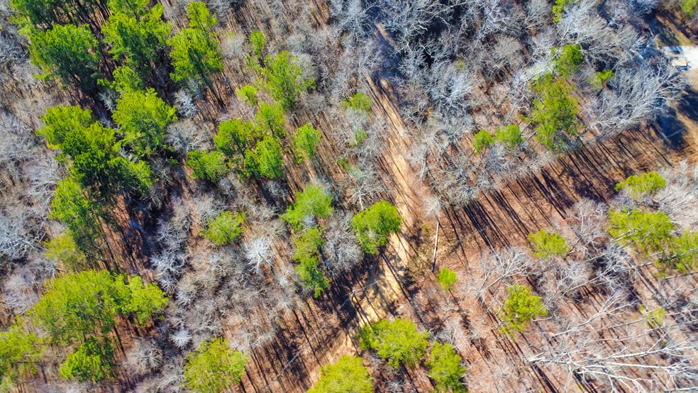 More Photos Of 277 Bethel Church Rd SE, Silver Creek Land For Sale