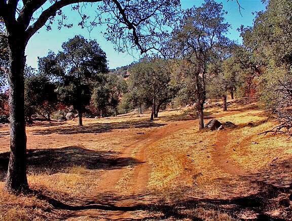 More Photos Of 38176 Cardinal, Yokuts Valley Land For Sale