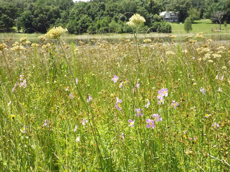 More Photos Of Myrtle Lake Ave, Fruitland Park Land For Sale