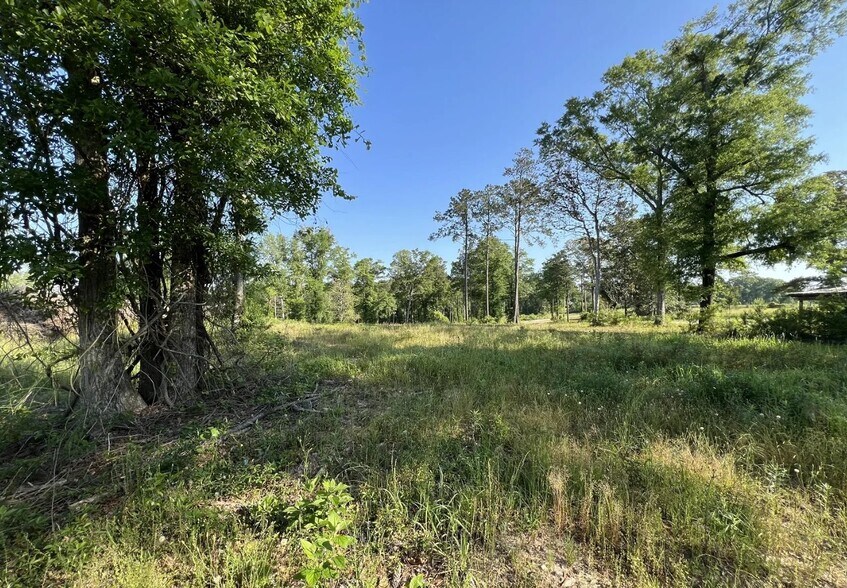 Primary Photo Of 0 Highway 198, Lucedale Land For Sale