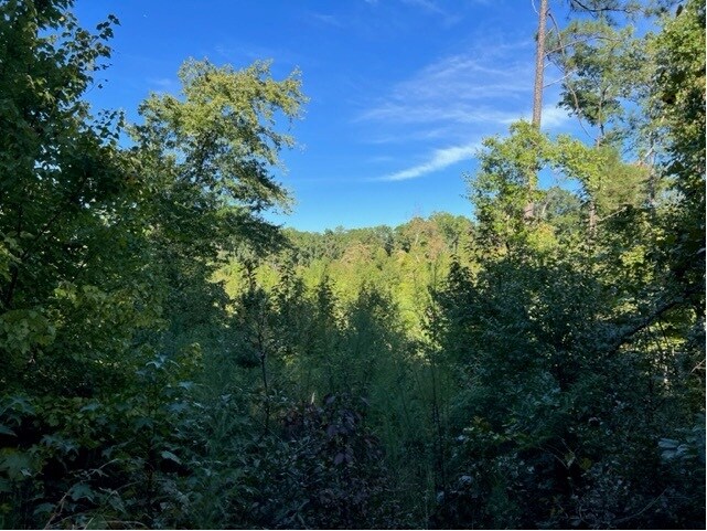 More Photos Of 5211 Donna Rd, Douglasville Land For Sale